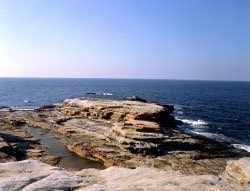 SENJOJIKI