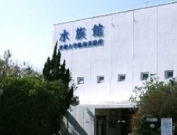 AQUARIUM